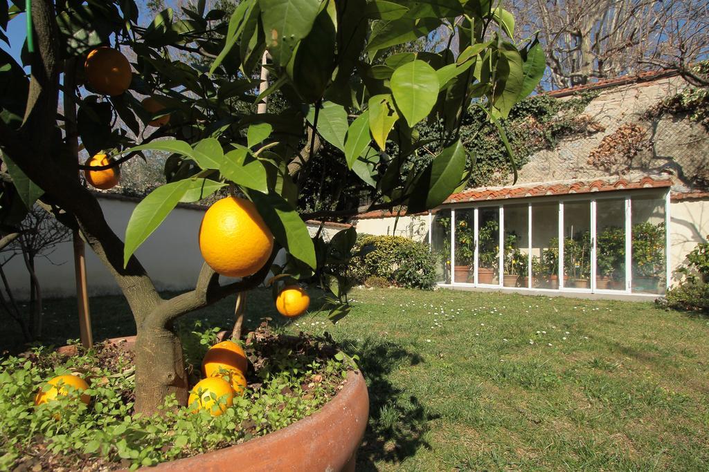 Il Diospero B&B Florence Buitenkant foto